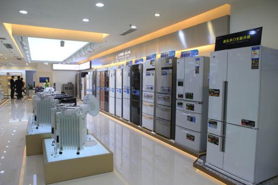 占地800㎡的格力电器东盟形象中心是目前广西格力最大的家电产品专卖